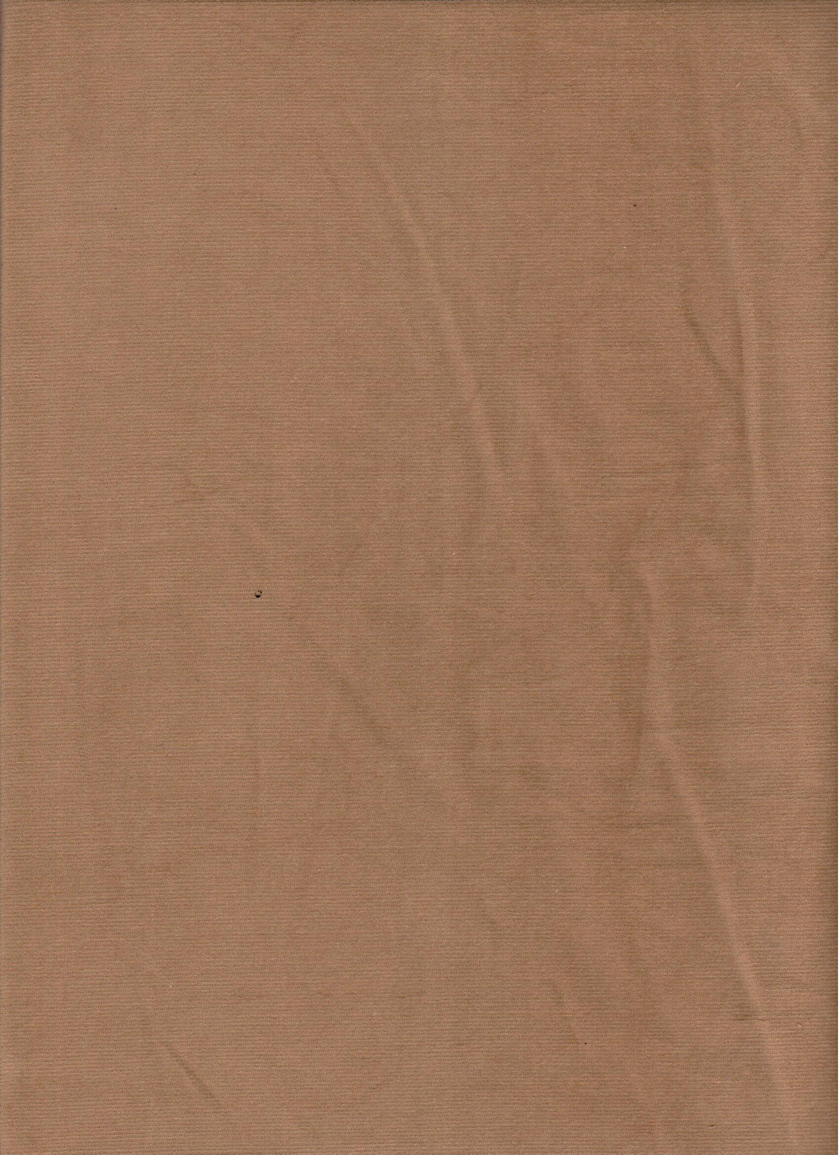 28 WCS  CAMREL 98% COTTON 2% STRETCH CAMEL SOLD BY THE TARD