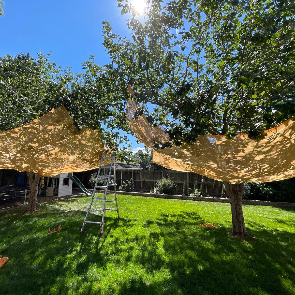 FRUIT CATCHER 10 FTX10 FT
